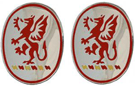 13th Field Artillery Regiment Unit Crest