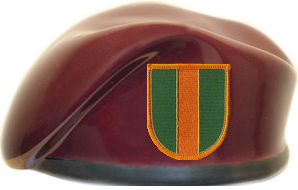 16th Military Police Brigade Ceramic Beret With Flash