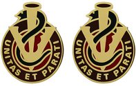 228th Combat Support Hospital Unit Crest