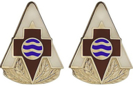 75th Combat Support Hospital Unit Crest