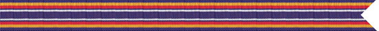 GWOT Service Campaign Streamer