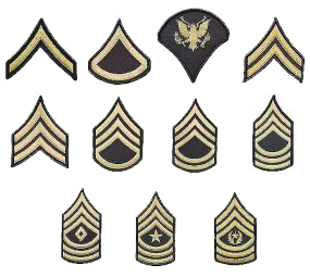 Army Enlisted Dress Green Chevrons