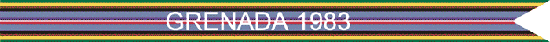 Armed Forces Expeditionary Streamer