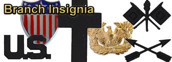 Branch Of Service Enlisted And Officer