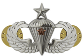Senior Parachutist 1st Award Combat Badge