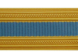 Infantry Branch Of Service Sleeve Braid