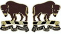 10th Cavalry Regiment Unit Crest