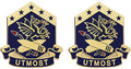 110th Chemical Battalion Unit Crest