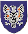 11th Aviation Command CSIB