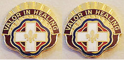 134th Combat Support Hospital Unit Crest