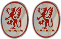 13th Field Artillery Regiment Unit Crest