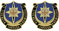 141st  Military Intelligence Battalion Unit Crest