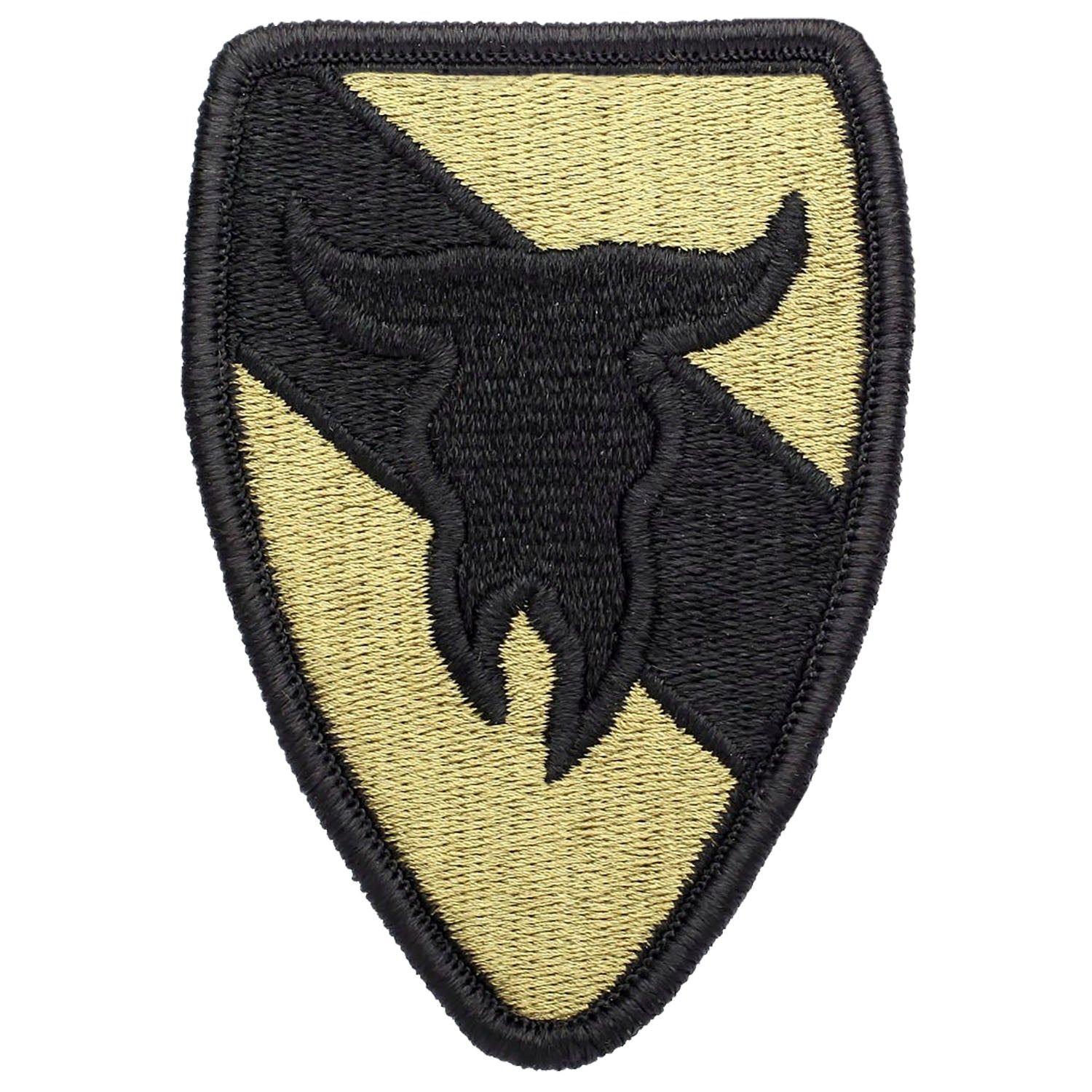 163rd Armored Cavalry Regiment Patch