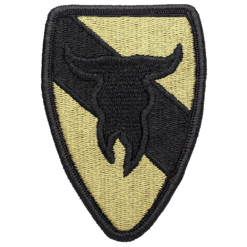 163rd Armored Cavalry Regiment Patch