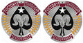 17th Sustainment Brigade Unit Crest