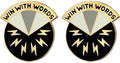 17th Psychological Operations Battalion Unit Crest