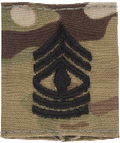 E-8 First Sergeant 1SG OCP Scorpion Gortex Loop Insignia