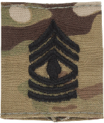 E-8 First Sergeant 1SG OCP Scorpion Gortex Loop Insignia