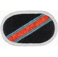 1st Squadron 194th Cavalry Regiment Oval