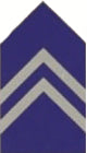 1LT JROTC, Coat Insignia