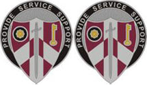 206th Support Group Unit Crest