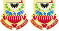 271st Support Battalion Unit Crest