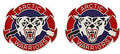 297th Battlefield Surveillance Brigade Unit Crest