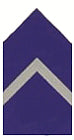 2LT JROTC Coat Insignia