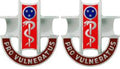 300th Combat Support Hospital Unit Crest