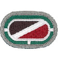 301st Psychological Operations Company Badge Oval