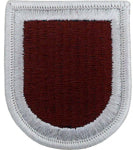 307th Support Battalion Beret Flash