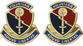 30th Support Battalion Unit Crest