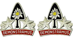 31st Engineer Battalion Unit Crest