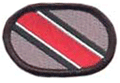 346th Psychological Operations Company Oval