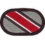 346th Psychological Operations Company Oval
