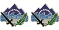 350th Civil Affairs Brigade Unit Crest