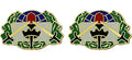 364th Civil Affairs Brigade Unit Crest