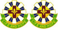 376th Combat Support Hospital Unit Crest