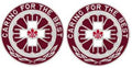 396th Combat Support Hospital Unit Crest