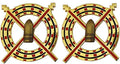 41st Fires Brigade Unit Crest
