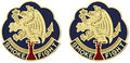490th Chemical Battalion Unit Crest