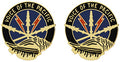 516th Signal Brigade Unit Crest