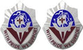 55th Surgical Hospital Unit Crest