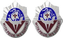 55th Surgical Hospital Unit Crest