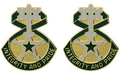 607th Military Police Battalion Unit Crest