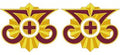 73rd Combat Support Hospital Unit Crest