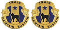 81st Regional Support Command Unit Crest