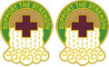 865th Combat Support Hospital Unit Crest