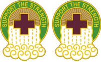 865th Combat Support Hospital Unit Crest