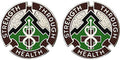 8th Medical Brigade Unit Crest